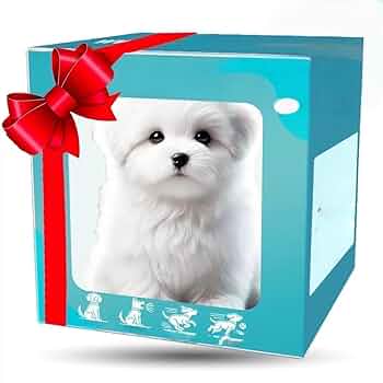 服*犬様 embryo chinese bland power net 楽天市場】アサガオ柄甚平 XS/S/M/L/XL/XXL CRAZYBOO