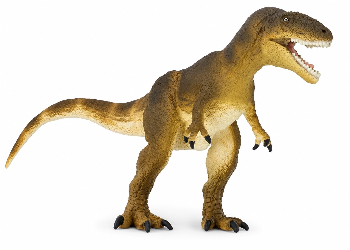 Carcharodontosaurus Figurine - Detailed 8.9" Dinosaur Figure - Educational Toy for Boys,…