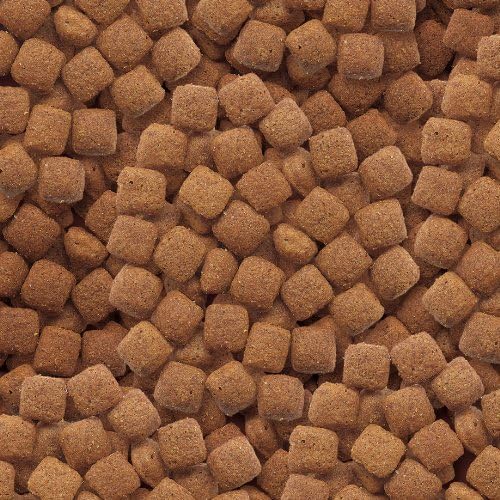 Petsupplyuk Working Dog Premium with Garlic & Herbs 15kg Amazon.co.uk