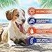 EBPP Dog Sunscreen Sun Skin Protector Spray 32 fl oz - Safe for All Breeds with No Zinc Oxide - Pet Protection and Moisturizer for Skin, Coat, Nose, Ears