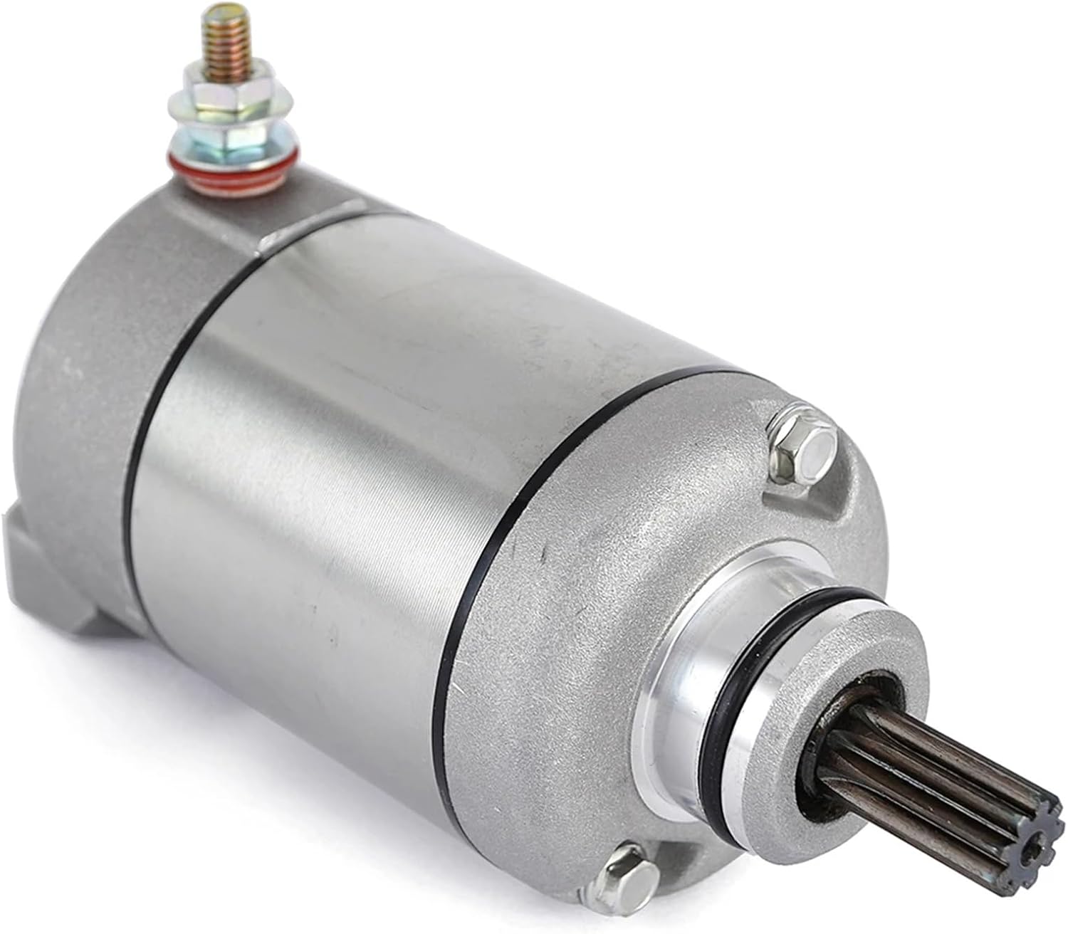 掛軸 小森義保 辛抱 共箱 画賛 茶掛