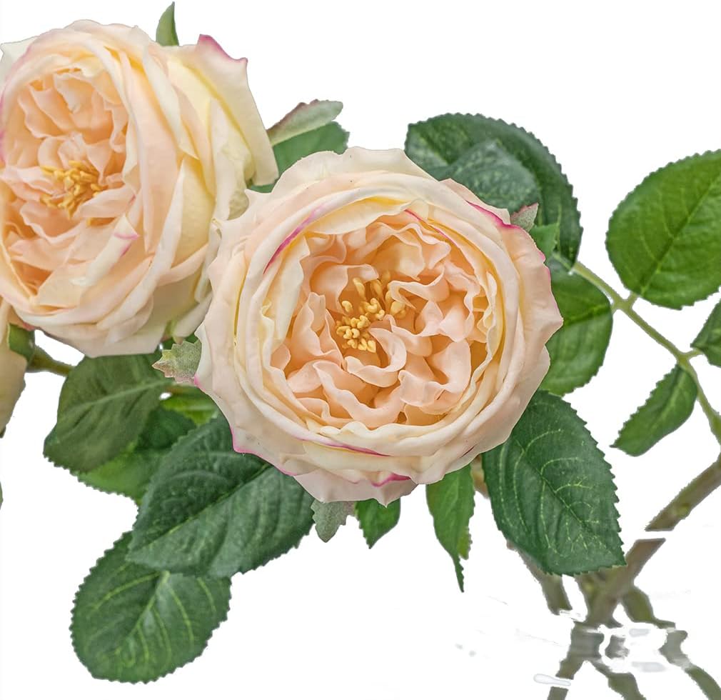 DUYONE Light Pink Artificial Austin Rose Peony - 4pcs Real Touch Latex Flowers for Home and Living Room Decoration - Image 5