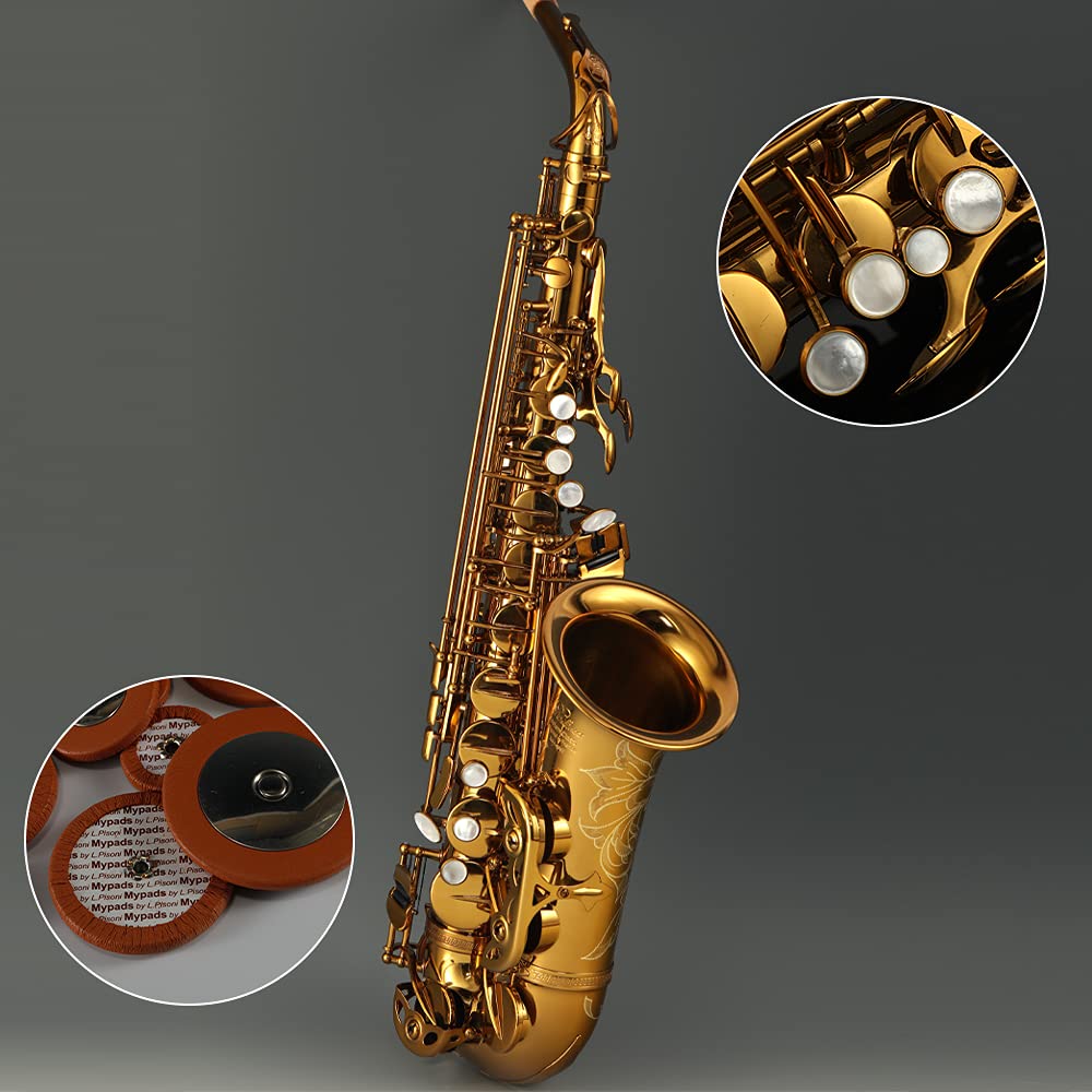 Rollins Saxophone alto RSA-9902,E flat Selmer 802-Key,Matière laiton, Or