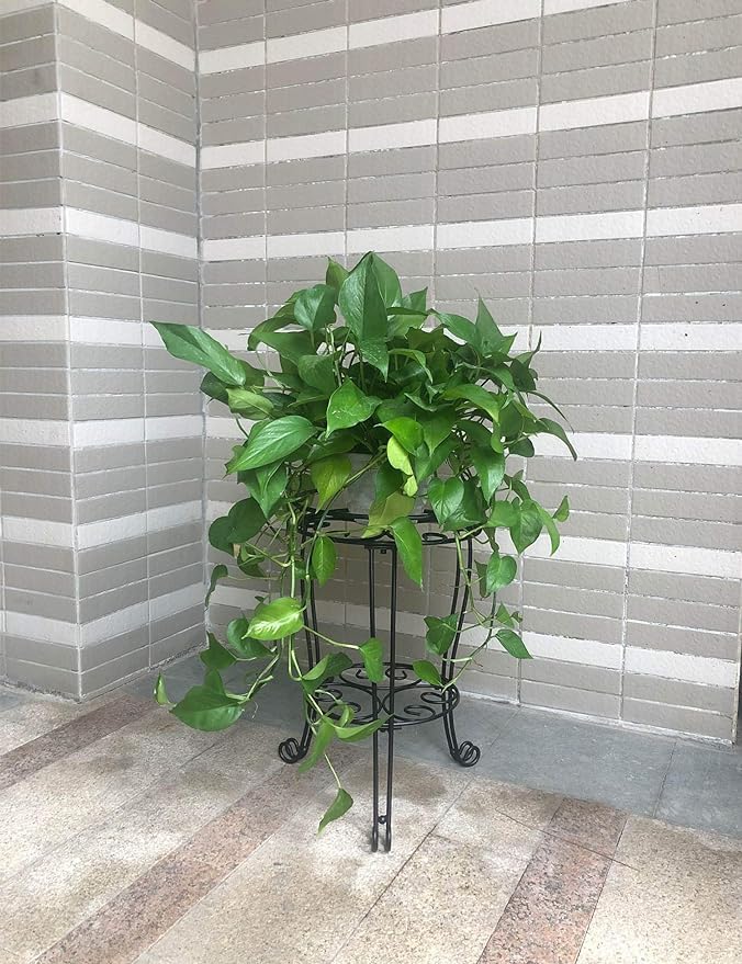 Miniatura 6 de Soporte para plantas de 18.9 pulgadas de alto para maceta, soporte resistente para macetas para interiores y exteriores, metal a prueba de óxido,