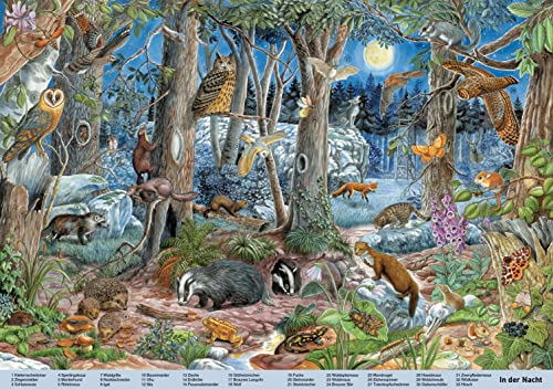 Mein großes Wimmelbuch Tiere. Liebevoll illustriert von Anne Suess: Verschiedene Tiere auf der ganzen Welt im Bilderbuch finden und kennenlernen. Für Kinder ab 3 Jahren (Wimmelbücher)