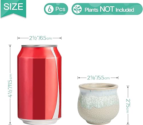 Miniatura 6 de T4U Juego de 6 macetas pequeñas de cerámica para suculentas con drenaje, mini para plantas, maceta de porcelana pequeña, macetas de plantas de aire,