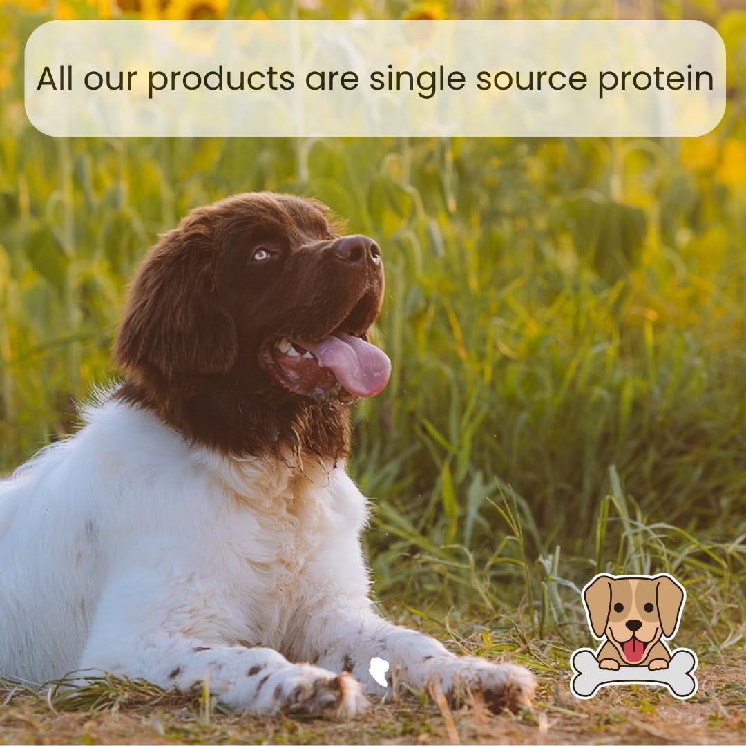 Pawsome Snax Ostrich Metatarsus Bone Dog Treats - Natural Long-Lasting Chews for Aggressive Chewers - Image 3