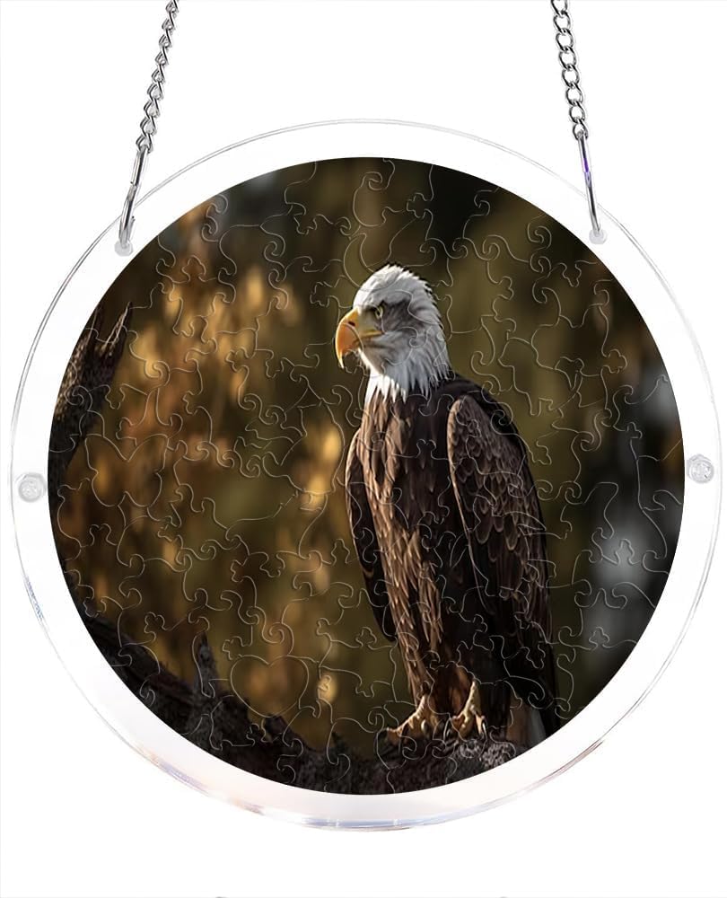 Bald Eagle Nature Wildlife Animal Bird Acrylic Jigsaw Puzzles Suncatcher, 8.2 Inch Window Hanging Suncatcher Acrylic Puzzle, DIY Home Decor Art Gift