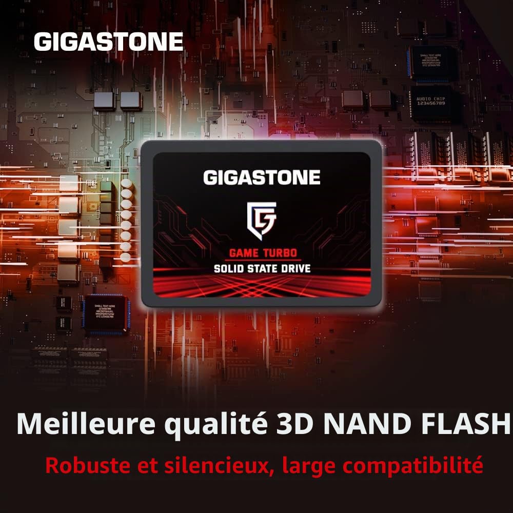 Gigastone SATA SSD internes 512Go (Lot de 2) 2.5" SATA III Interface 3D NAND Disque Dur SSD Disque de Jeu Compatible avec Ordinateurs Portables et Ordinateurs de Bureau 2.5 Pouces 550Mo/s SLC Cache