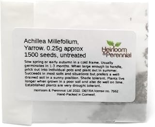 Achillea Millefolium, Yarrow 0.25g Approx 1500 Seeds, untreated