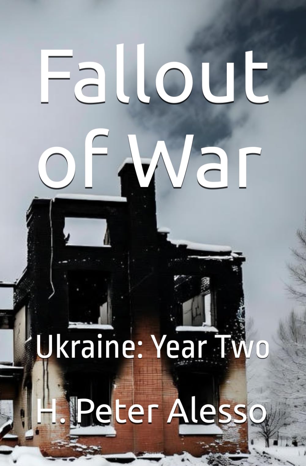 Fallout of War: Ukraine: Year Two: 2