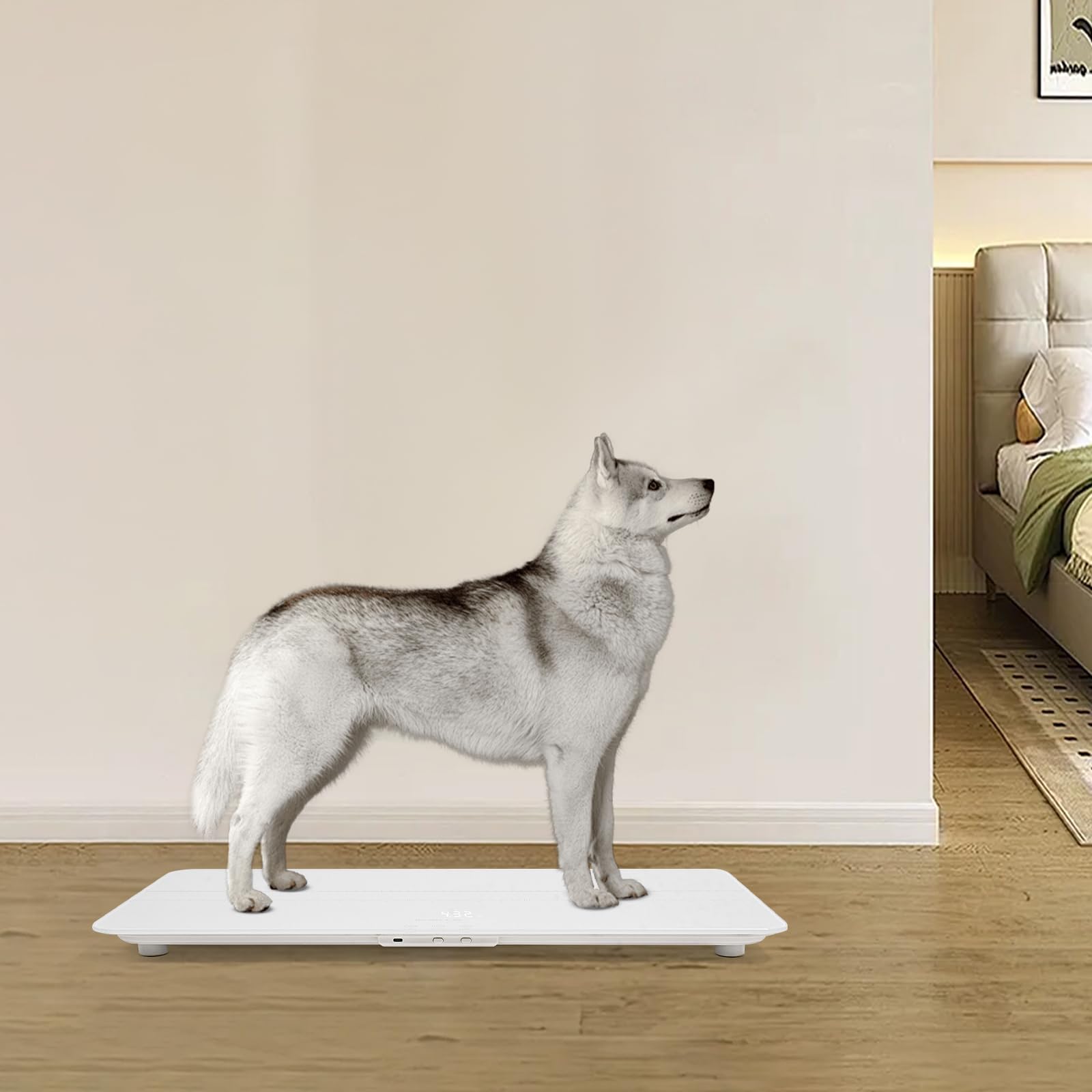 Bilancia digitale per animali domestici per cani e gatti, bilancia per animali con indicatore LED, grande bilancia per cani, fino a 220 libbre, versione ricaricabile, 3 modalità di pesatura, kg, st