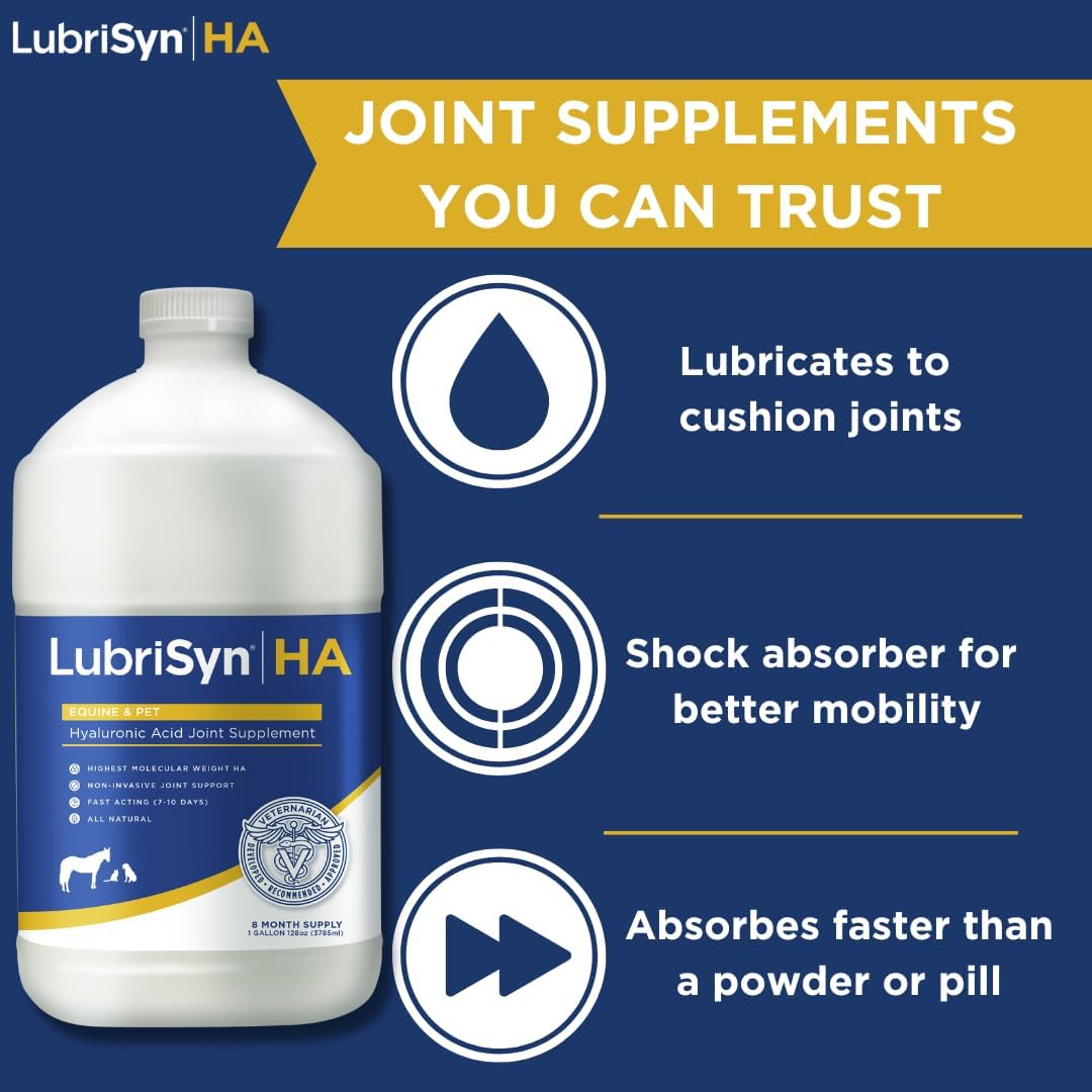 LubriSynHA Hyaluronic Acid Hip & Joint Care Supplement for Dogs, Cats & Horses – Liquid Oral HA for Pets – Joint Support Supplement Promotes Mobility, Flexibility, Cartilage Health & Comfort – 128oz