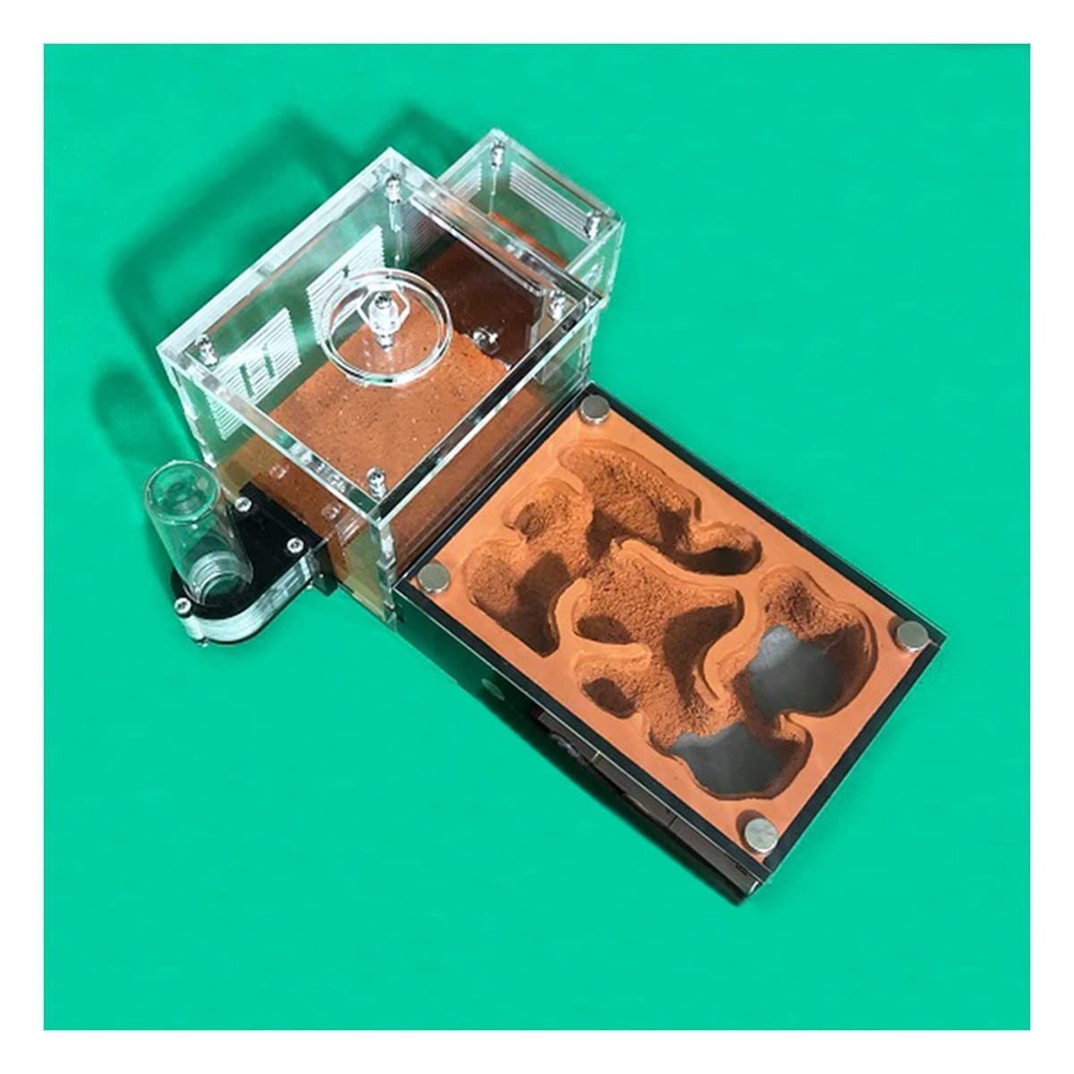 AntHouse In Acrilico Naturale Casa Delle Formiche Nido Di Formica Dell'insetto Scatola Formicaio Kit Ant Farm Ants Habitat Per Formiche Alimentazione (Color : A)