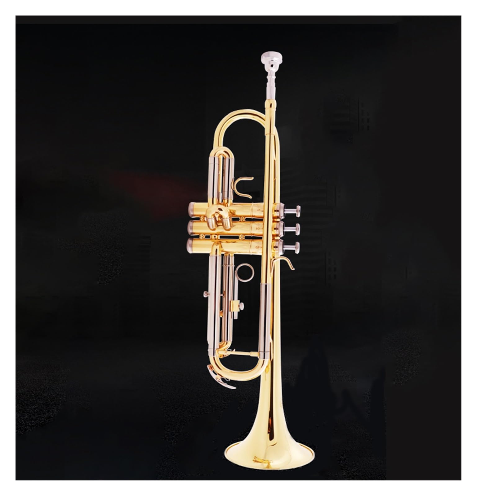 Trompeten Messing-Gold-Student Spielt B-Flat-Band-Anfänger-Blasinstrument Zweifarbige Trompete
