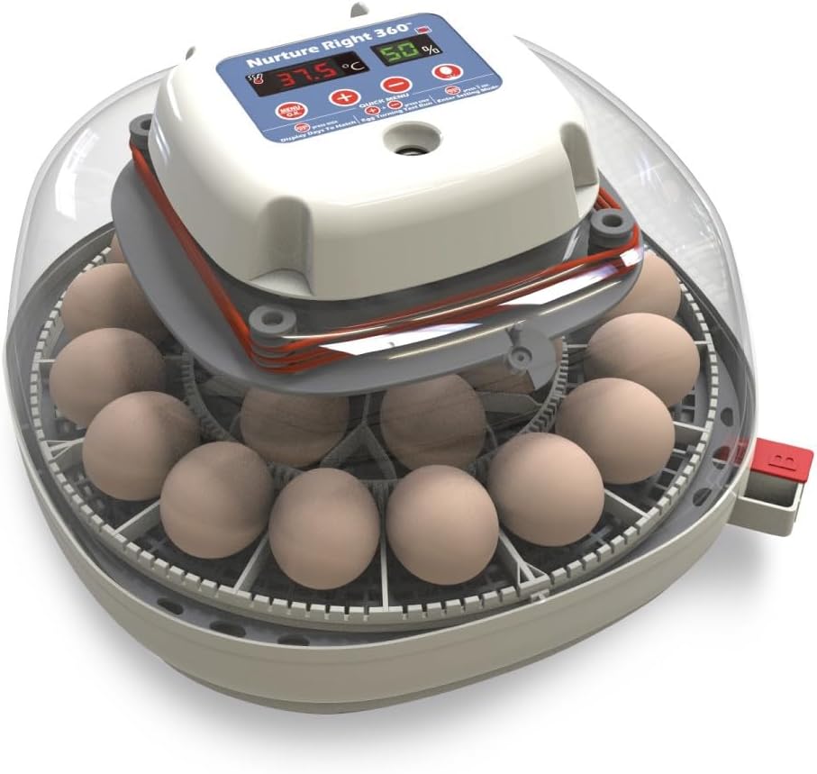 Nurture Right Egg Incubator for Hatching Chicks, Holds 12-22 Eggs, Automatic Turner with Temperature and Humidity Control, 360 Degree View with Clear Window, Incubator for Chickens