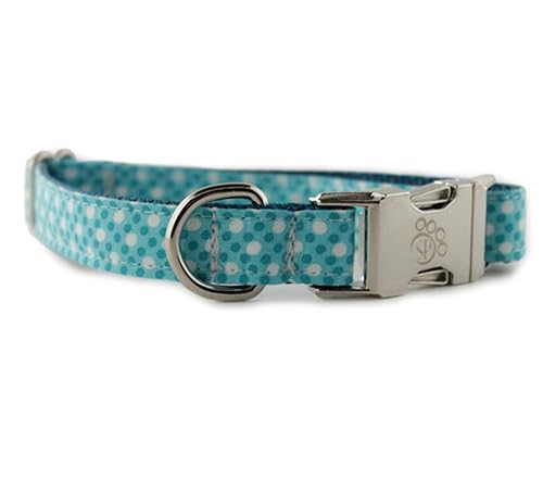 Teal puppy collar Outlet