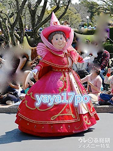 汚物 最も早い 方法論 ディズニー リゾート コスプレ Imasan Jp