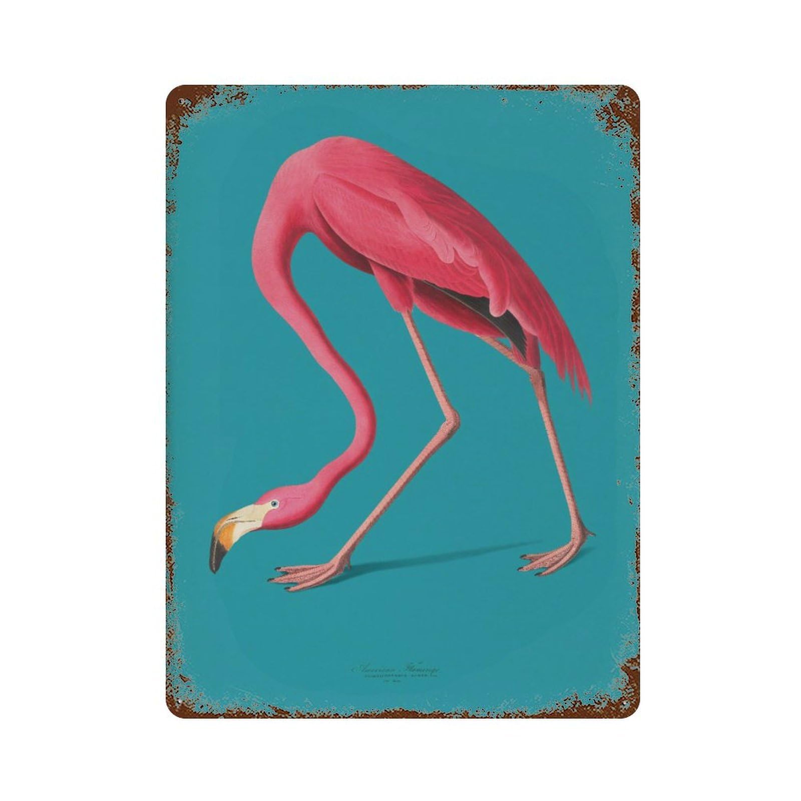 xiaoxiaoshen Vintage Flamingo Illustration Coastal Home Decor Wall Decor Art Metal Tin Poster Modern Home Decor Art Home Bar Shop Decorations Vintage Sign 40x30cm