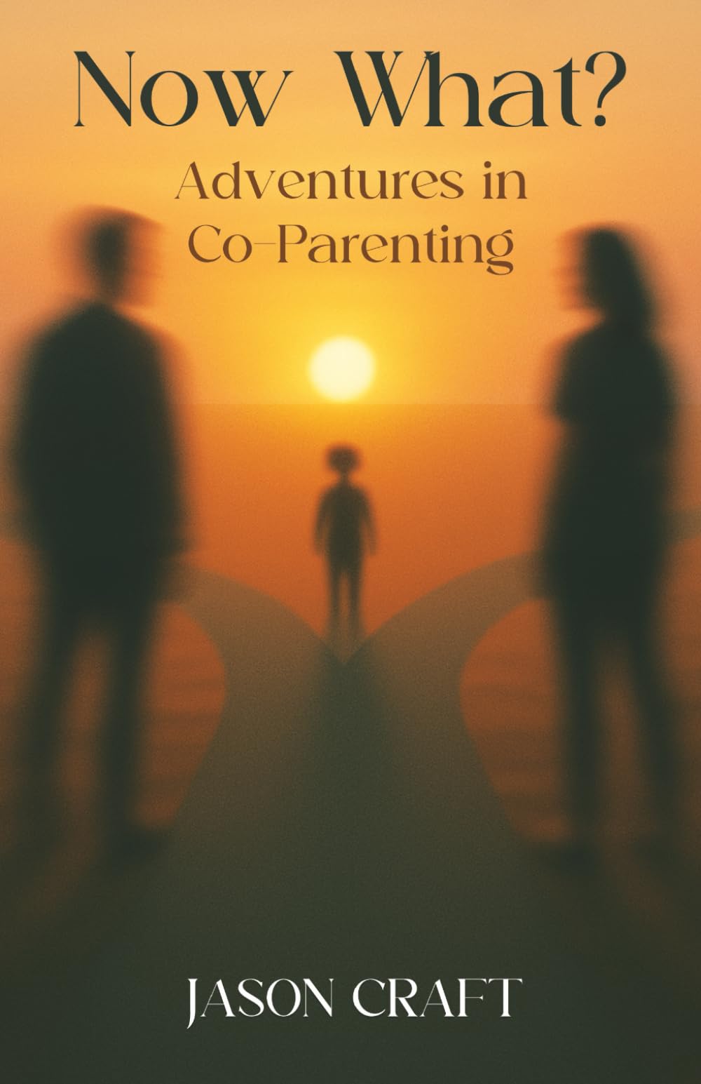Now What?: Adventures in Co-Parenting