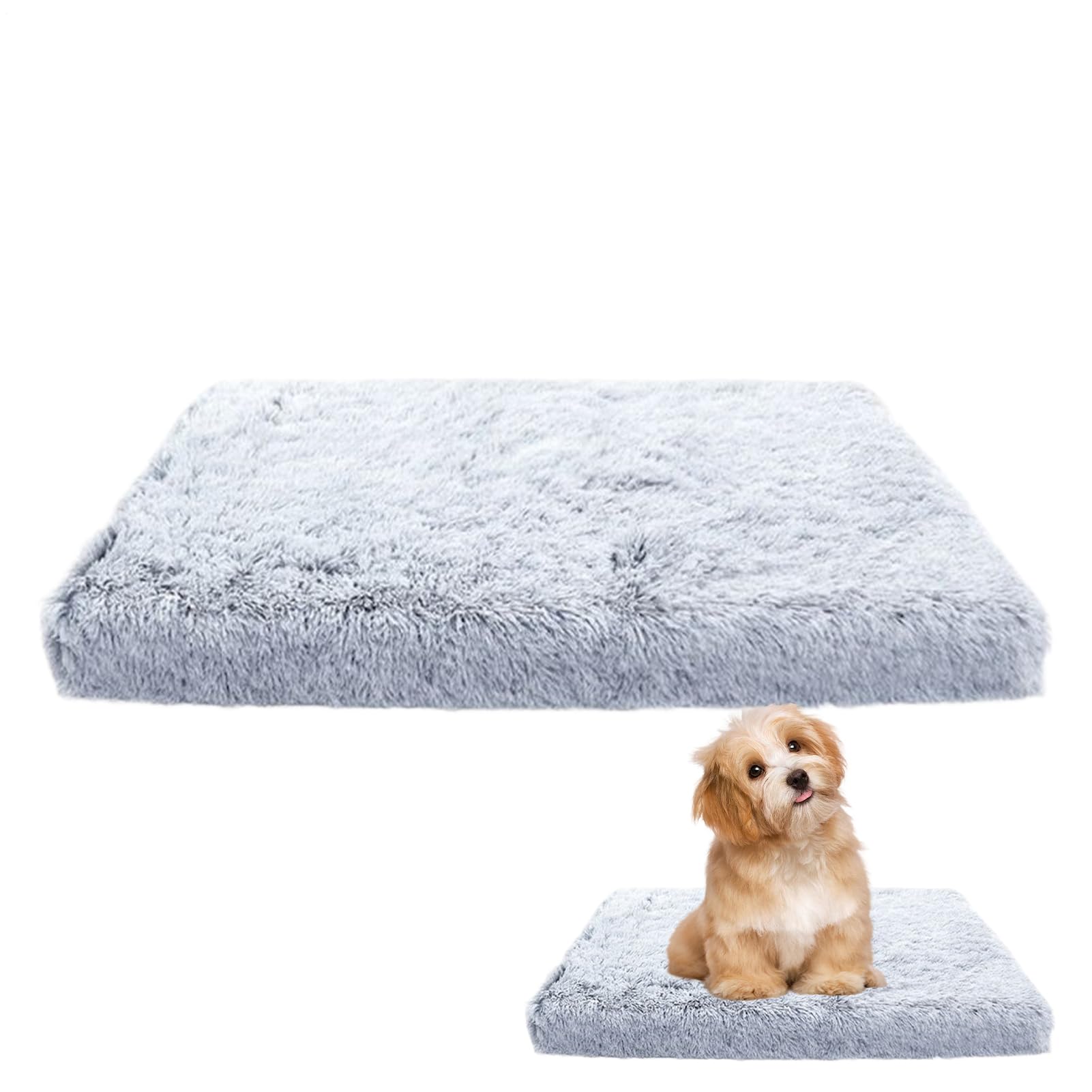 Tapis chauffant pour chats et sommeil réconfortant par temps de froid