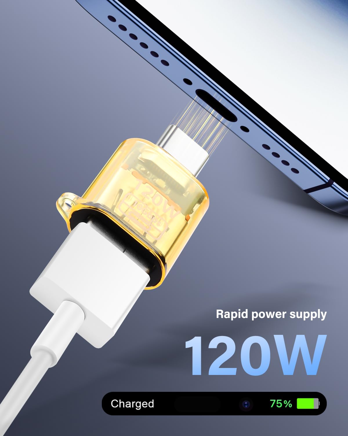 SinLoon - Adattatore di ricarica di alientazione da 100 W PD DC4506 a