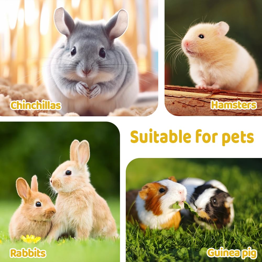 Sac a Foin pour Lapins,Mangeoire a Foin Suspendue pour Cochon d'Inde avec 2/3 Trous pour Chinchillas,Hamsters,Petits Animaux de Compagnie et Animaux