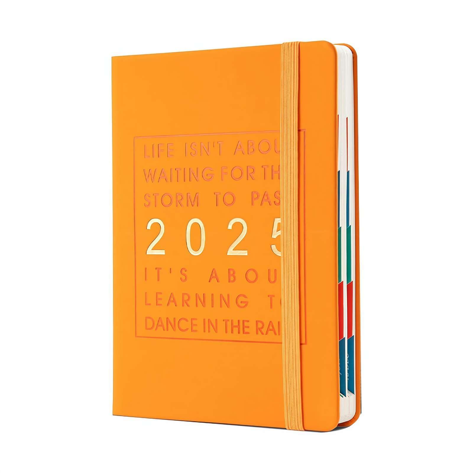 2025 Daily Planner,One Day One Page Daily Planner,Full Page Daily Organizer,Comprehensive Daily Planner 2025 with Sturdy Cover, Hourly Planner with Monthly Overviews