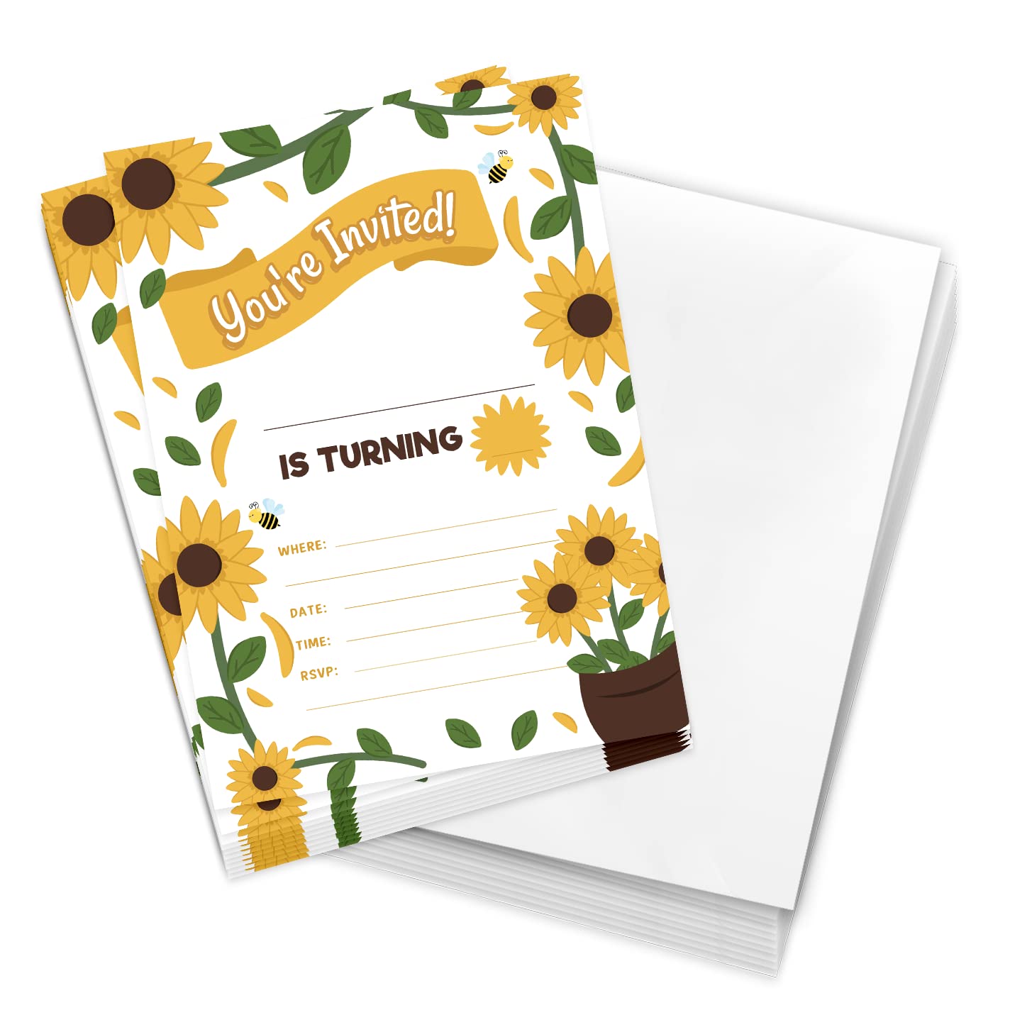 Desert Cactus Sunflower Happy Birthday Invitations Style 1 Invite Cards (10 Count) With Envelopes Boys Girls Kids Party (10ct)