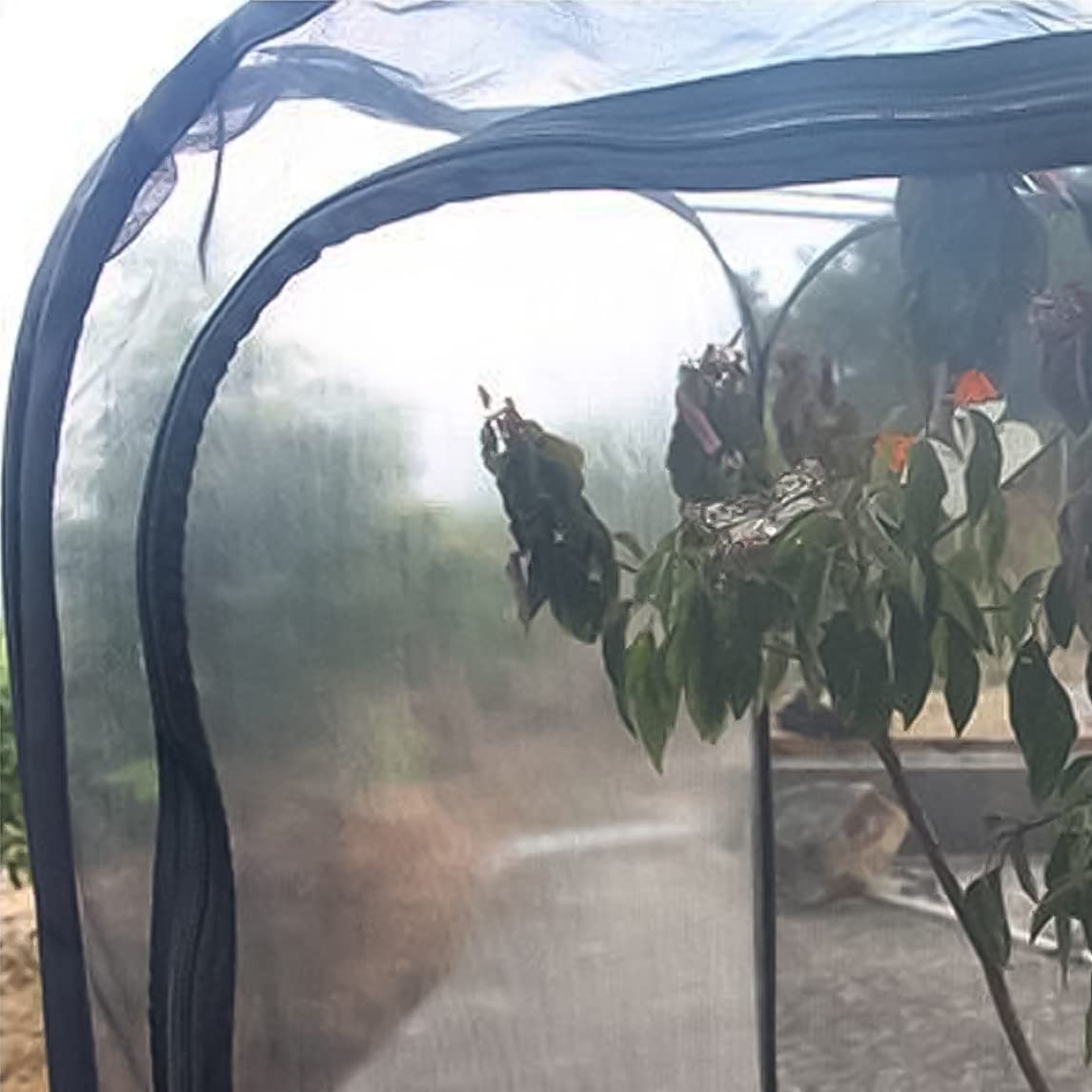 Gabbia Per Farfalle Pieghevole - Reticolato Trasparente 30x30x30 Cm, Per Insetti - Foto 2