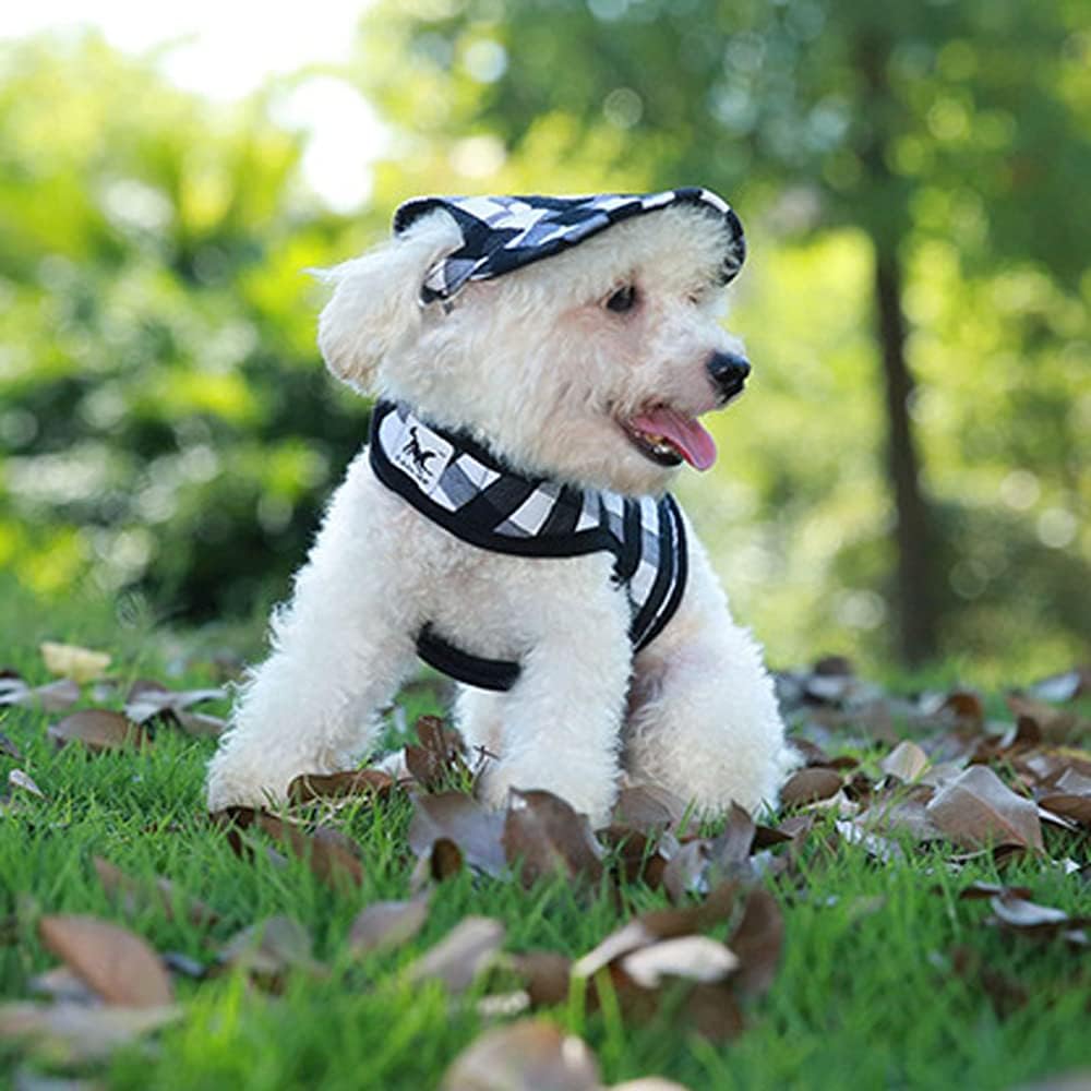 Leconpet Baseball Caps Hats with Neck Strap Adjustable Comfortable Ear Holes for Small Medium and Large Dogs in Ourdoor Sun Protection (S, Stripe) : Pet Supplies