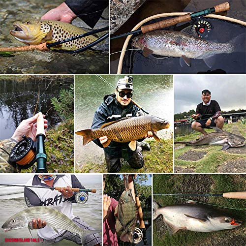 image for M MAXIMUMCATCH Maxcatch Extreme Fly Rod Graphite 4-Piece Fly Fishing R
