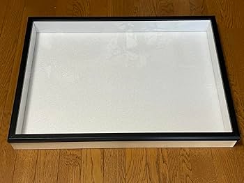 Amazon | 標本箱A2サイズ | 生態・採集 | おもちゃ
