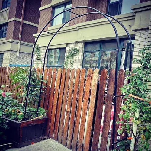 Arche de tonnelle de jardin extra haute treillis idéal pour grands rosiers - 5