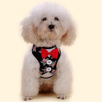 Pets Empire Bowtie Gentleman Suit Dog Harness Vest Leash Set Leads for Cat Dog Pet with Handle for Your Pets (Bowknot Cute Harness, Medium) Design May Vary