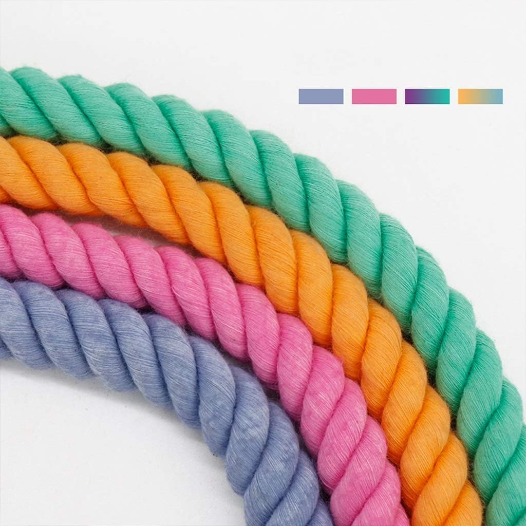Guinzaglio per cani in un unico pezzo Corda da trazione multifunzionale Collare a catena a forma di P con gradiente arcobaleno per esterni Guinzaglio per animali monopezzo intrecciato a mano