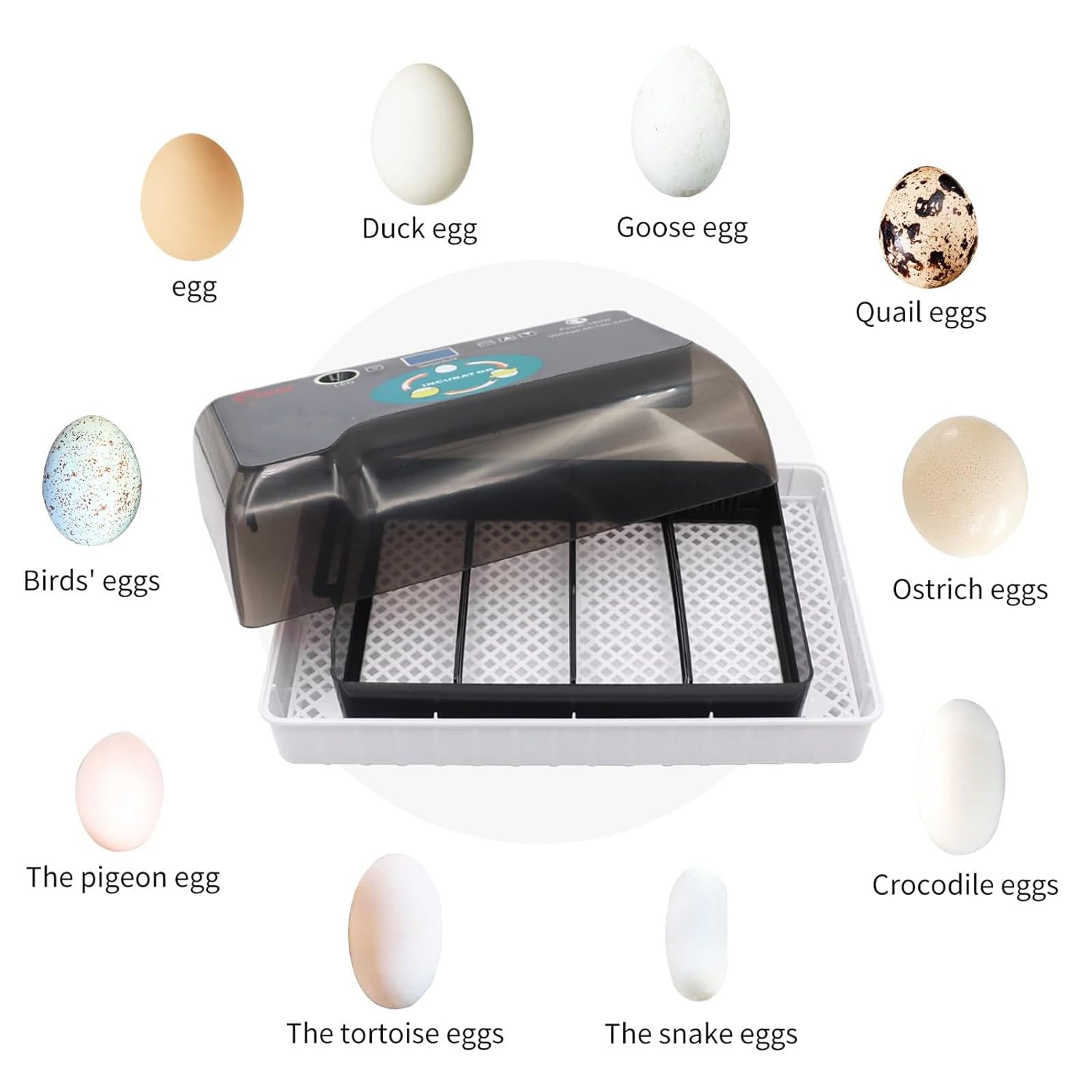 Incubatrice 12 Uova Incubatrice Uova di Tartaruga Allevatrice Rettili Allevatrice Termostatica Tartarughe con Girauova Automatico Coperchio Visibile Display LED Digitale(12 Eggs)