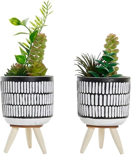 DKD Home Decor Dekorative Pflanze, Standard