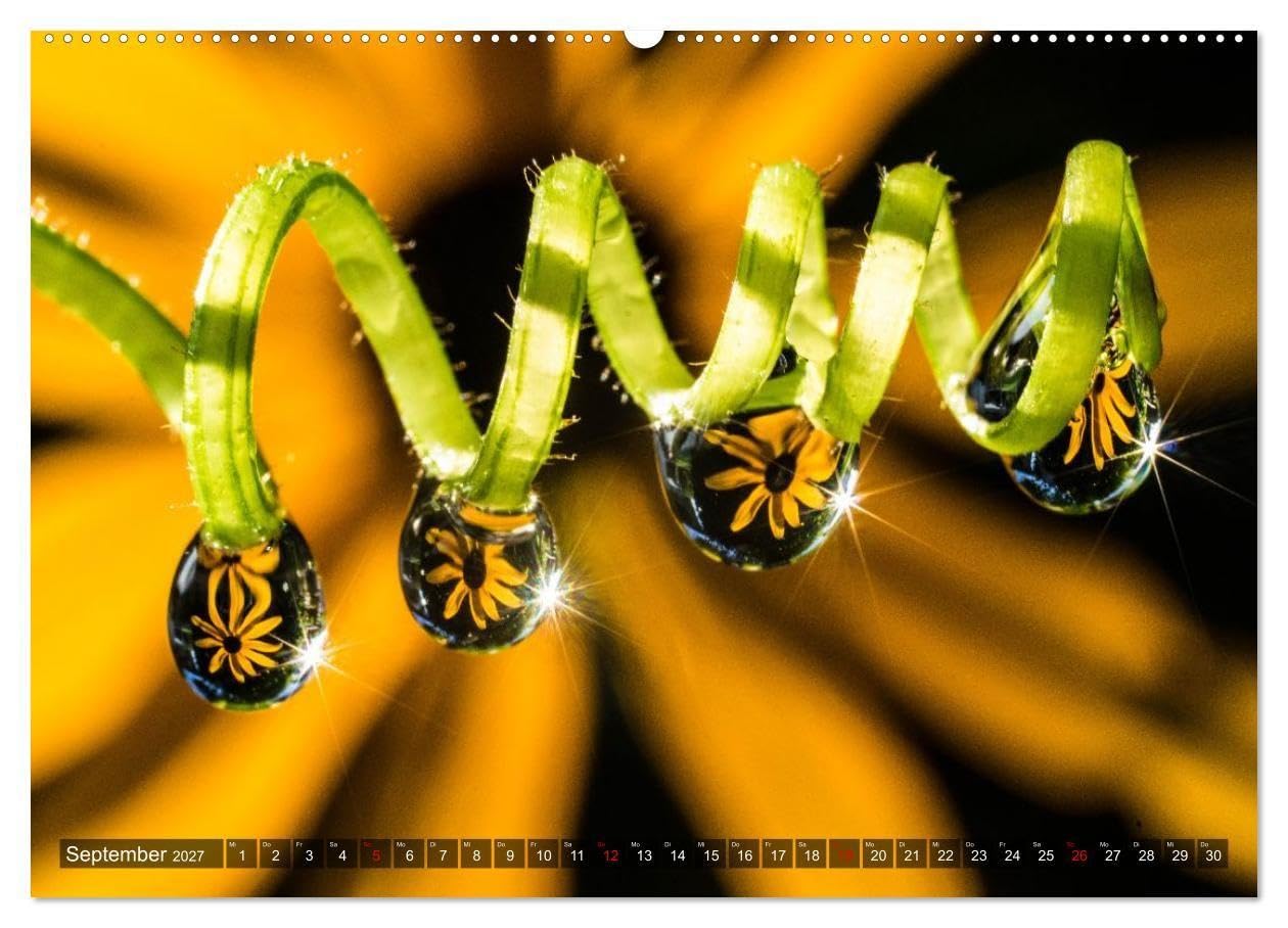Farbe und Struktur in der Natur (Wandkalender 2027 DIN A2 quer), CALVENDO Monatskalender: Abwechsend farbenfrohe Details aus der Natur (CALVENDO Natur)