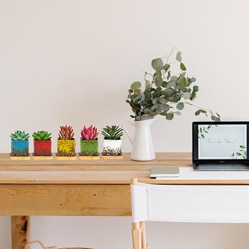 Miniatura 6 de ARTKETTY Set of 10 Succulent Pots with Drainage Trays, 2.1 Inch Ceramic Pots for Indoor Flower Plants, Small Square Cactus Planter Pots Bulk for