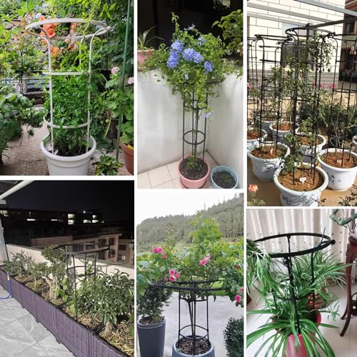 Enredaderas caídas solucionadas con soporte de flores de metal 7