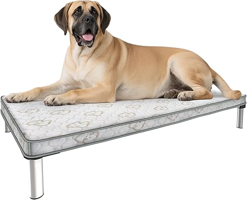 FXW TitanNest - Cama elevada para perros a prueba de masticación, cuna elevada para uso en interiores, exteriores y campamentos, cama acolchada