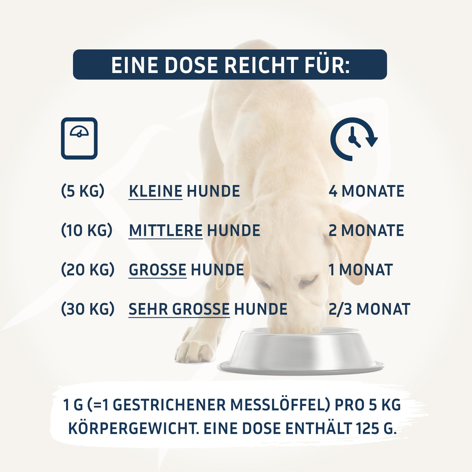 PetFokus Darm Komplex für Hunde - Unterstützung der Verdauung, entzündungshemmend, Gelenkgesundheit und Gewichtskontrolle, ergänzend zur Nass-, Trocken- oder Rohfütterung - in Deutschland produziert