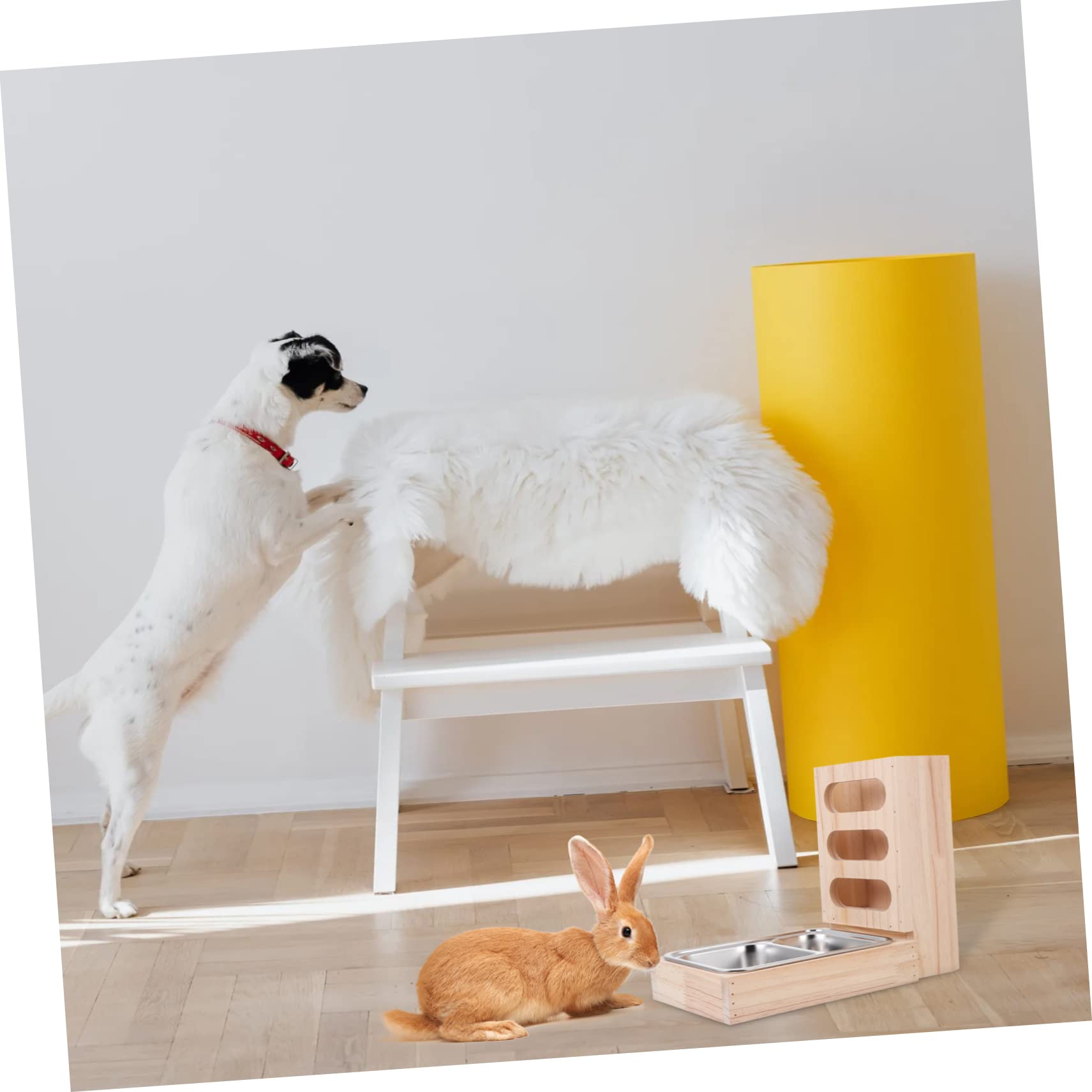 Râtelier à Foin pour Lapin, Bois et Acier Inoxydable