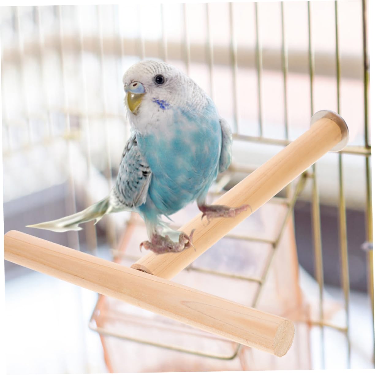 VANZACK 8pièces pour Oiseaux Perches pour Volières Et Jouets à Gratter pour Perroquets Perruches Et Oiseaux