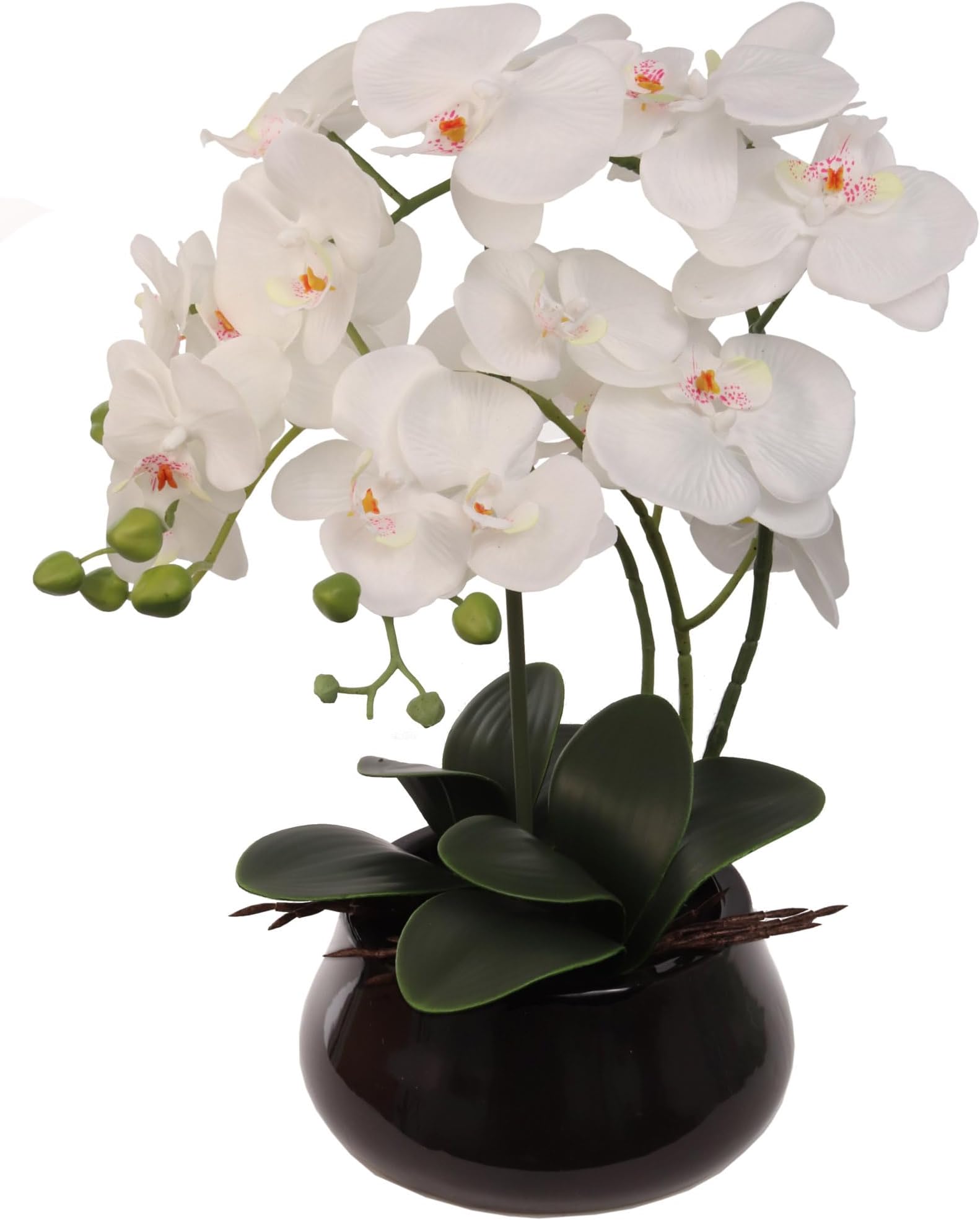 White Phalaenopsis Orchid, Lifelike Blooms in 7" Black Round Pot, Elegant Decor, Ideal for Home & Office Display