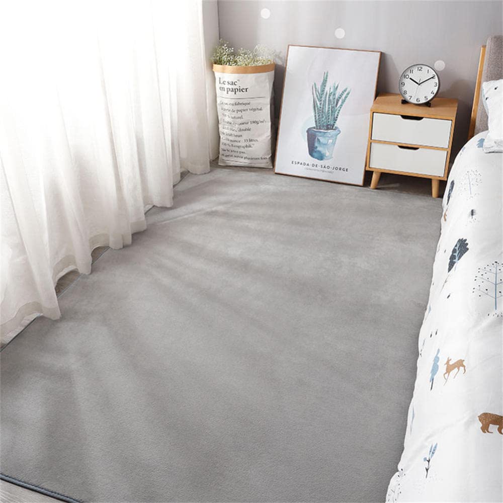 Tapis de salon moderne antidérapant et durable LUNEZY