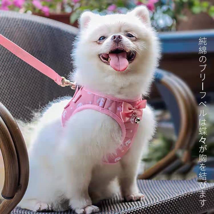 Amazon.co.jp: リードハーネス2点セット猫Tシャツ犬服胴輪ペット用品