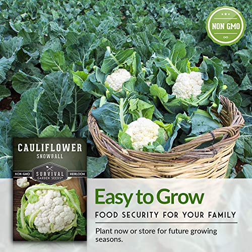 Survival Garden Seeds - Snowball Cauliflower Seed For Planting - Packet With Instructions To Plant And Grow Amazing White Vegetables In Your Home Vegetable Garden - Non-Gmo Heirloom Variety #TOP6