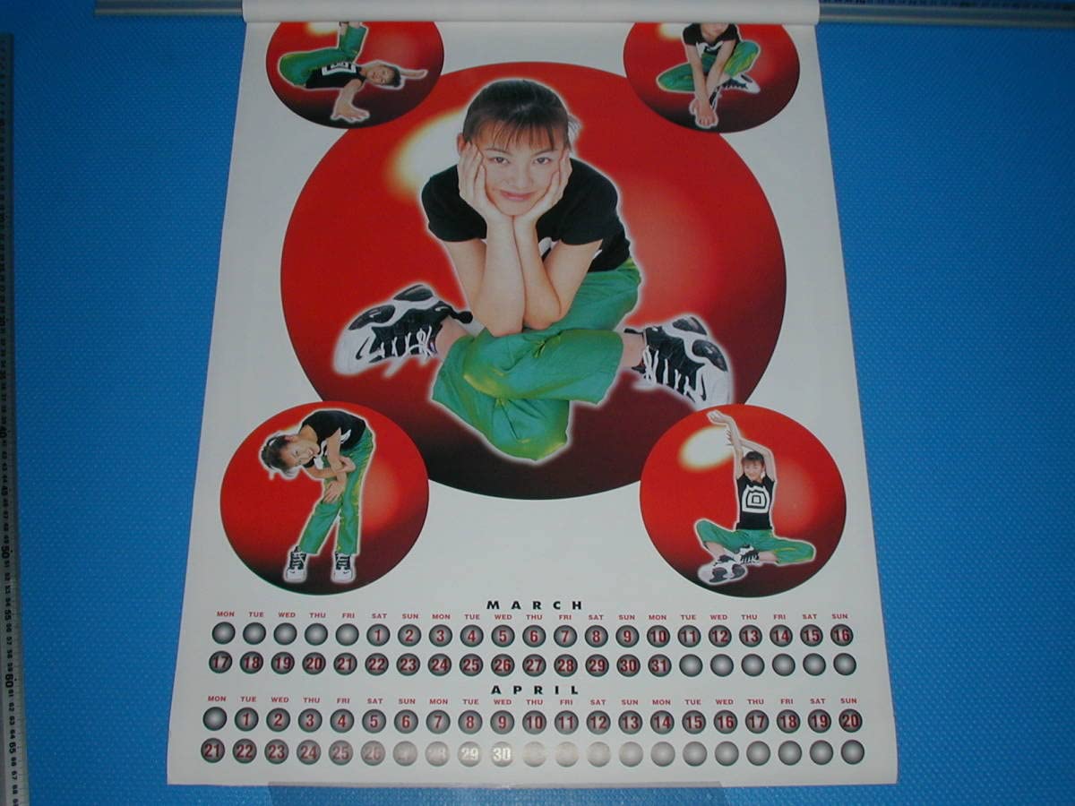 Amazon.co.jp: 1997年 ともさかりえ B-2 壁掛けカレンダー : おもちゃ